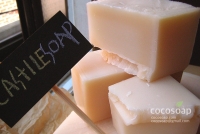 카스틸솝 - Castile Soap